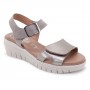 2000 TAUPE