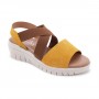 2003 OCRE